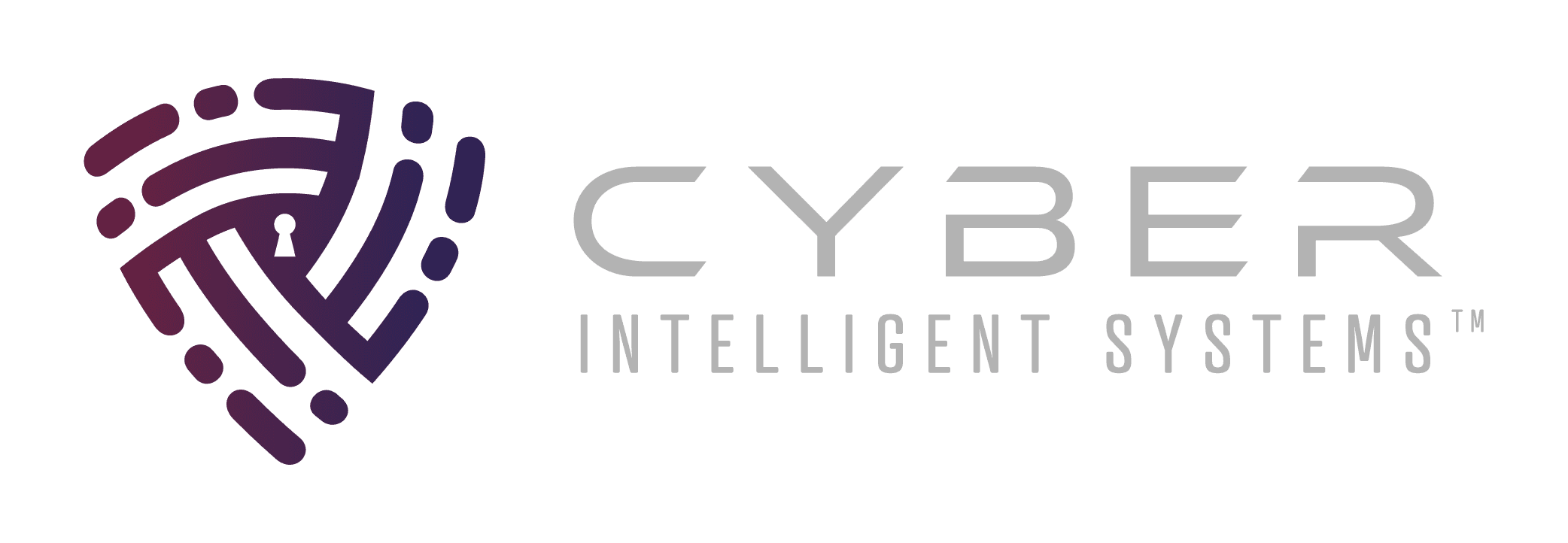 Cyber Intelligence Systems